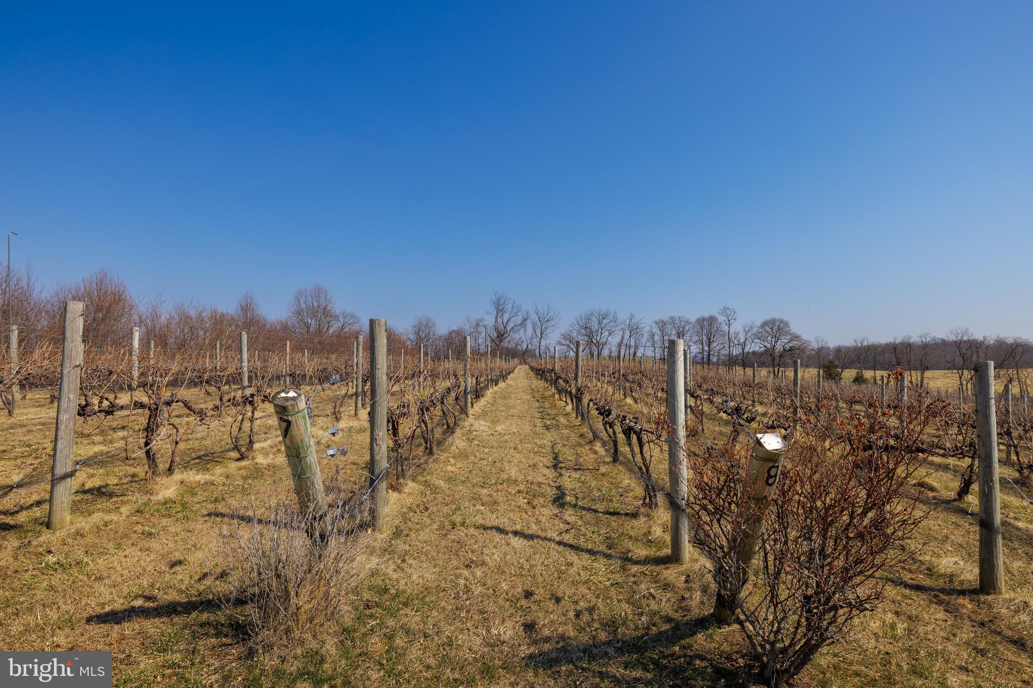 Real estate listing preview #72