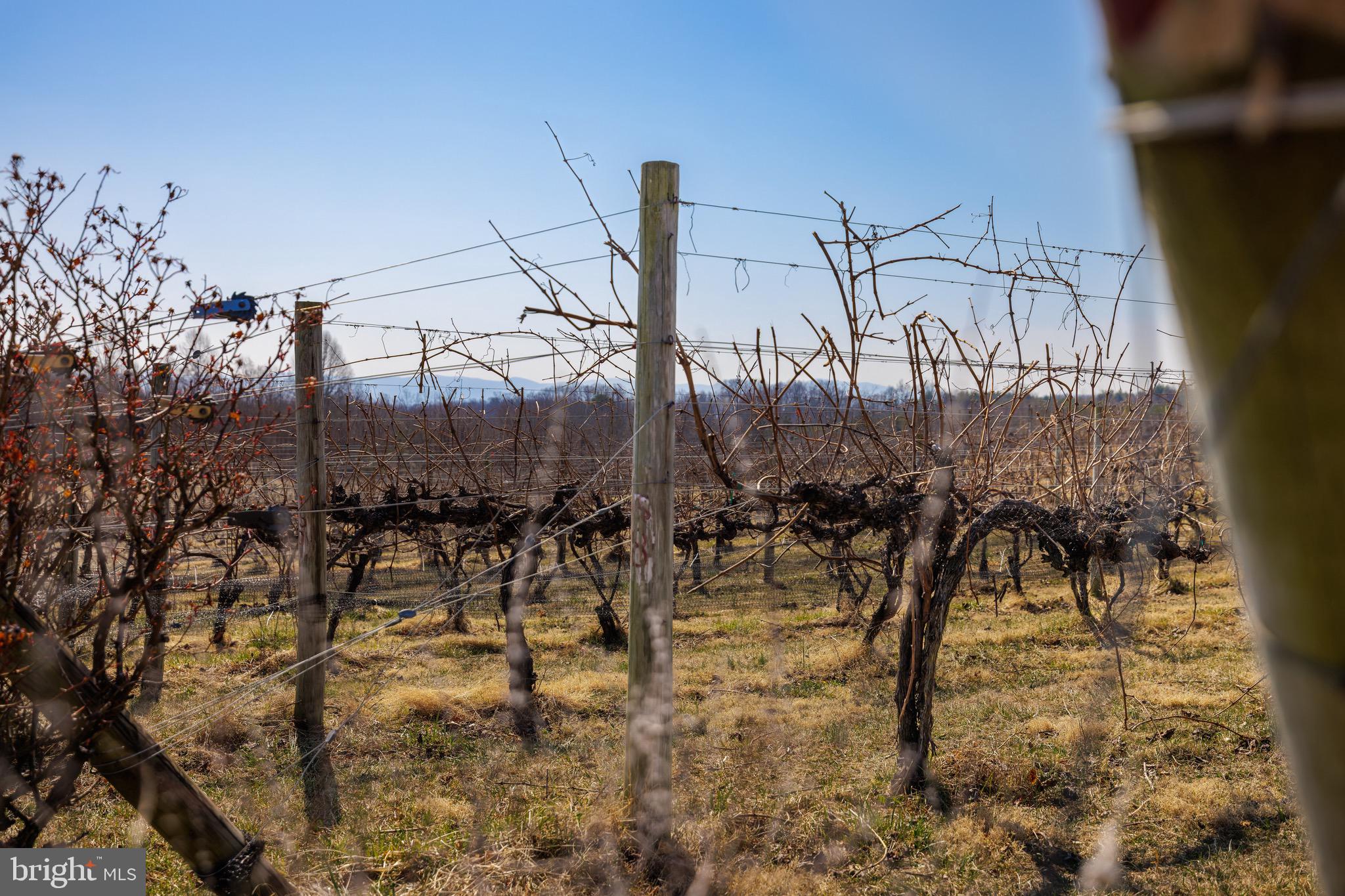 Real estate listing preview #73