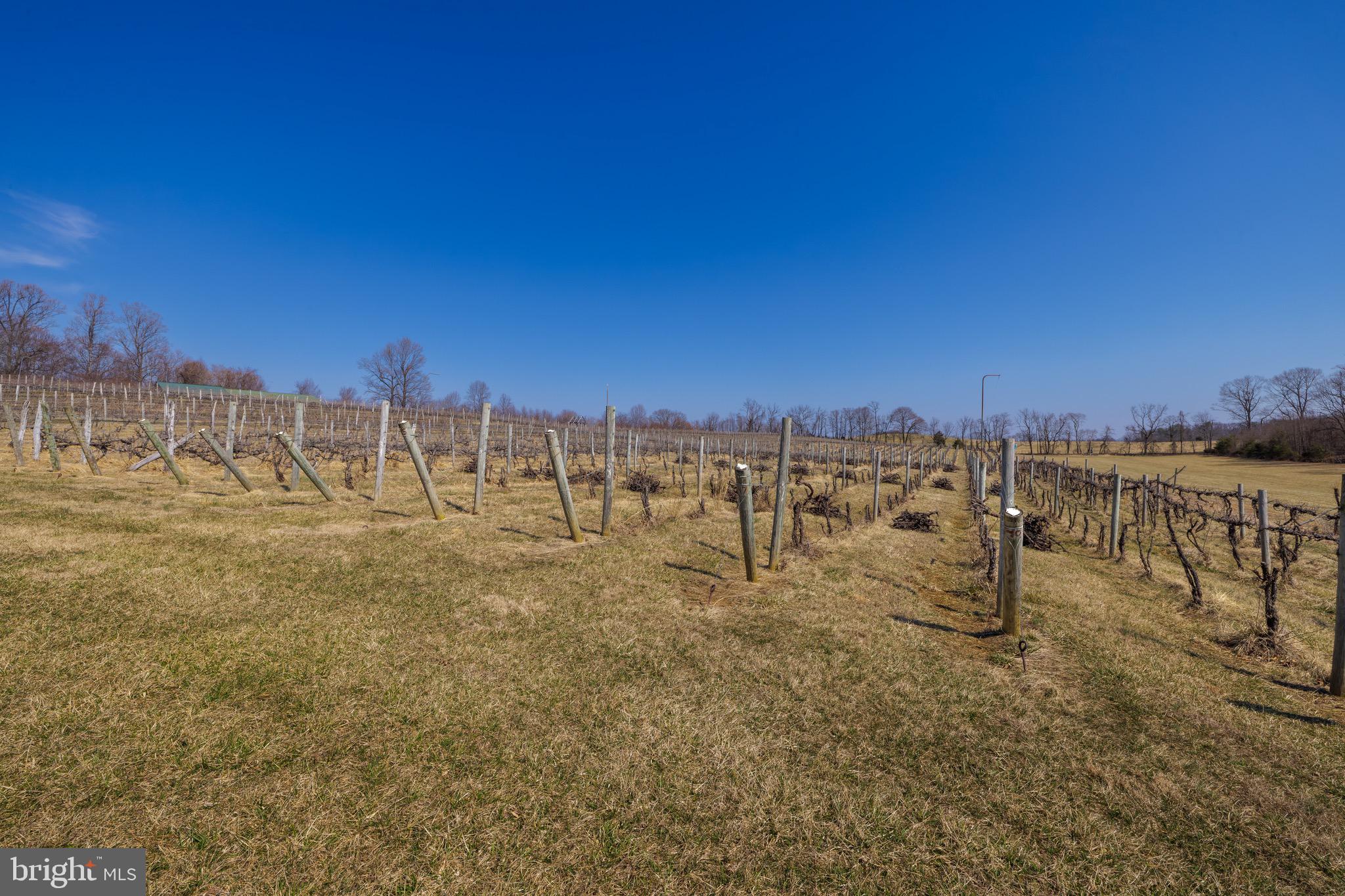 Real estate listing preview #75