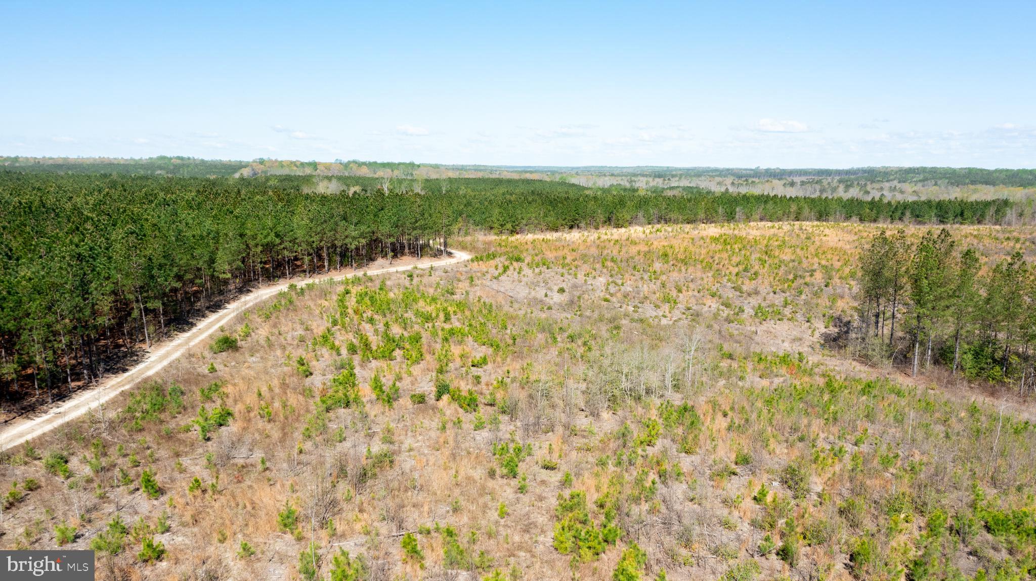 Real estate listing preview #17