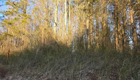 0 Eggbornsville, Rixeyville, VA 22737