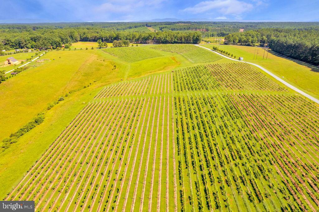 Real estate listing preview #5