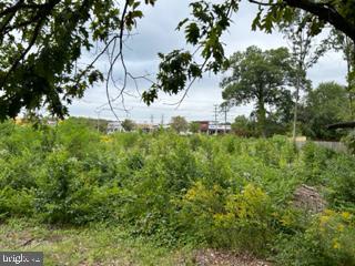 Real estate listing preview #4