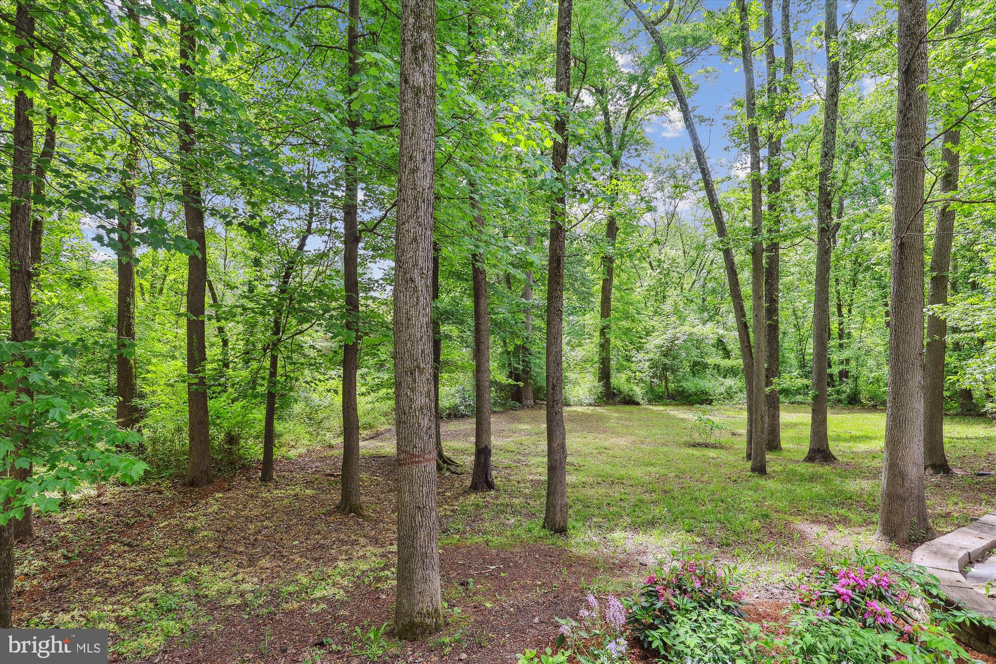 Real estate listing preview #55