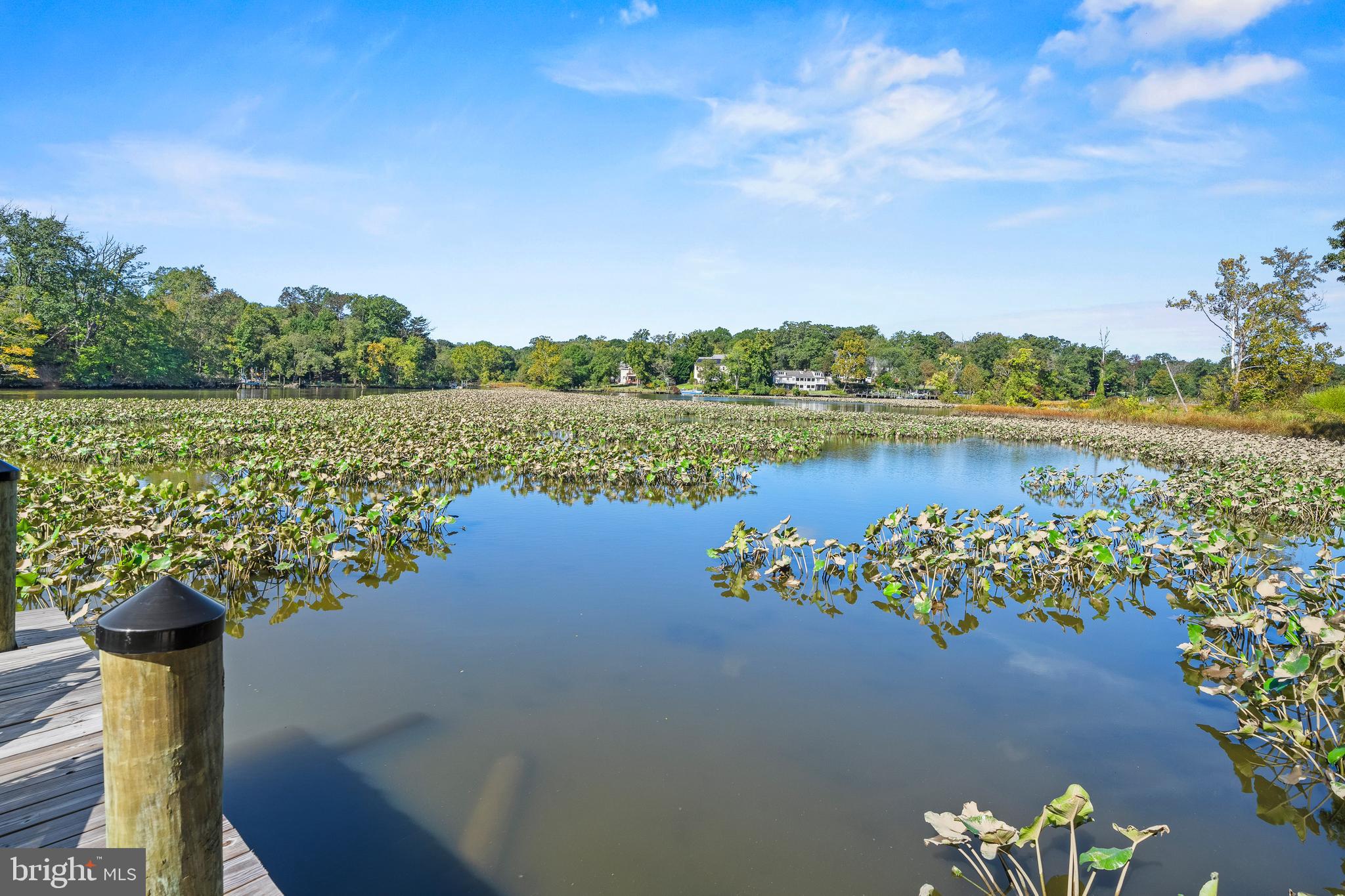 Real estate listing preview #5