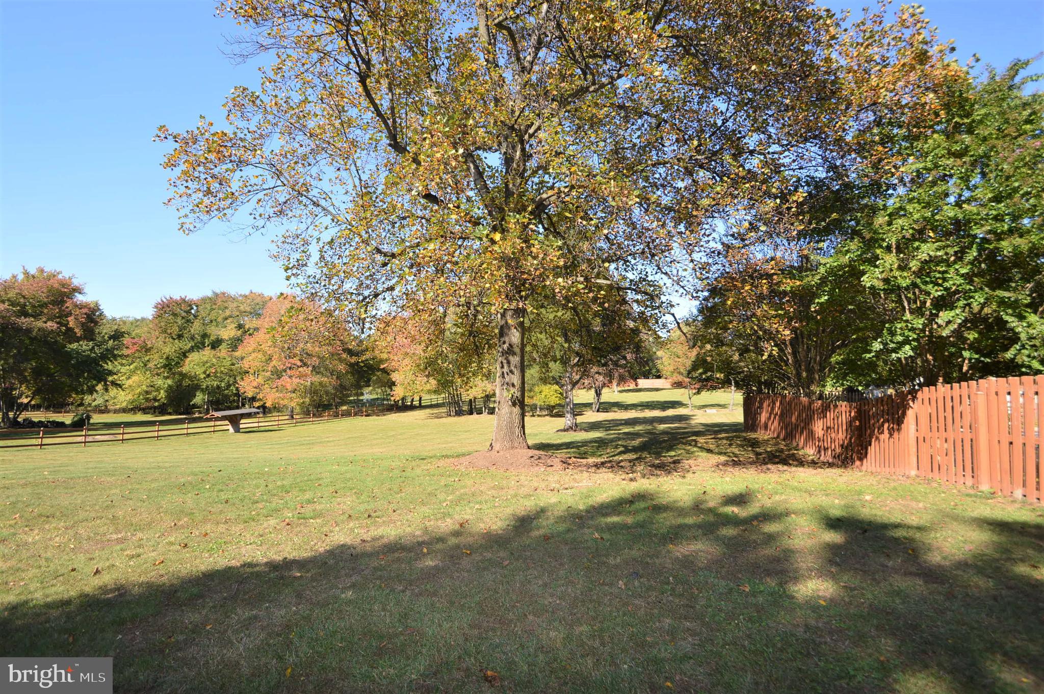 Real estate listing preview #12