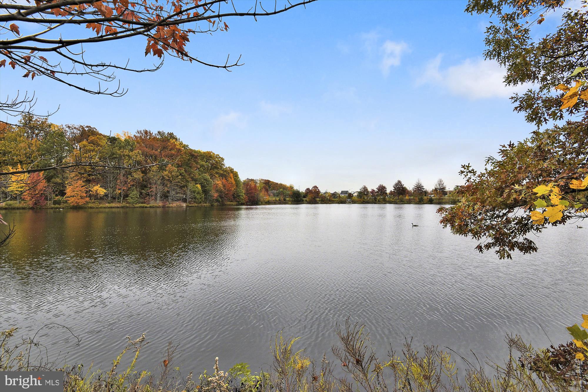 Real estate listing preview #71