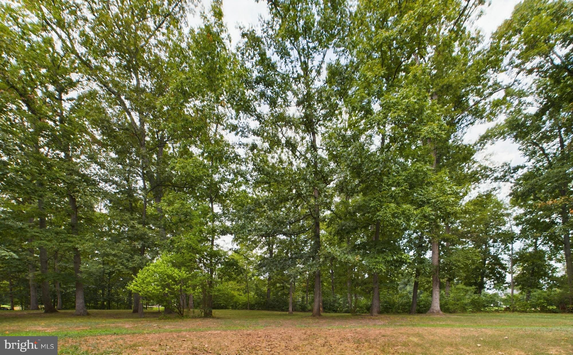 Real estate listing preview #17