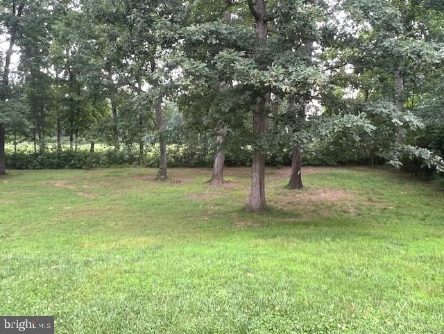 Real estate listing preview #12