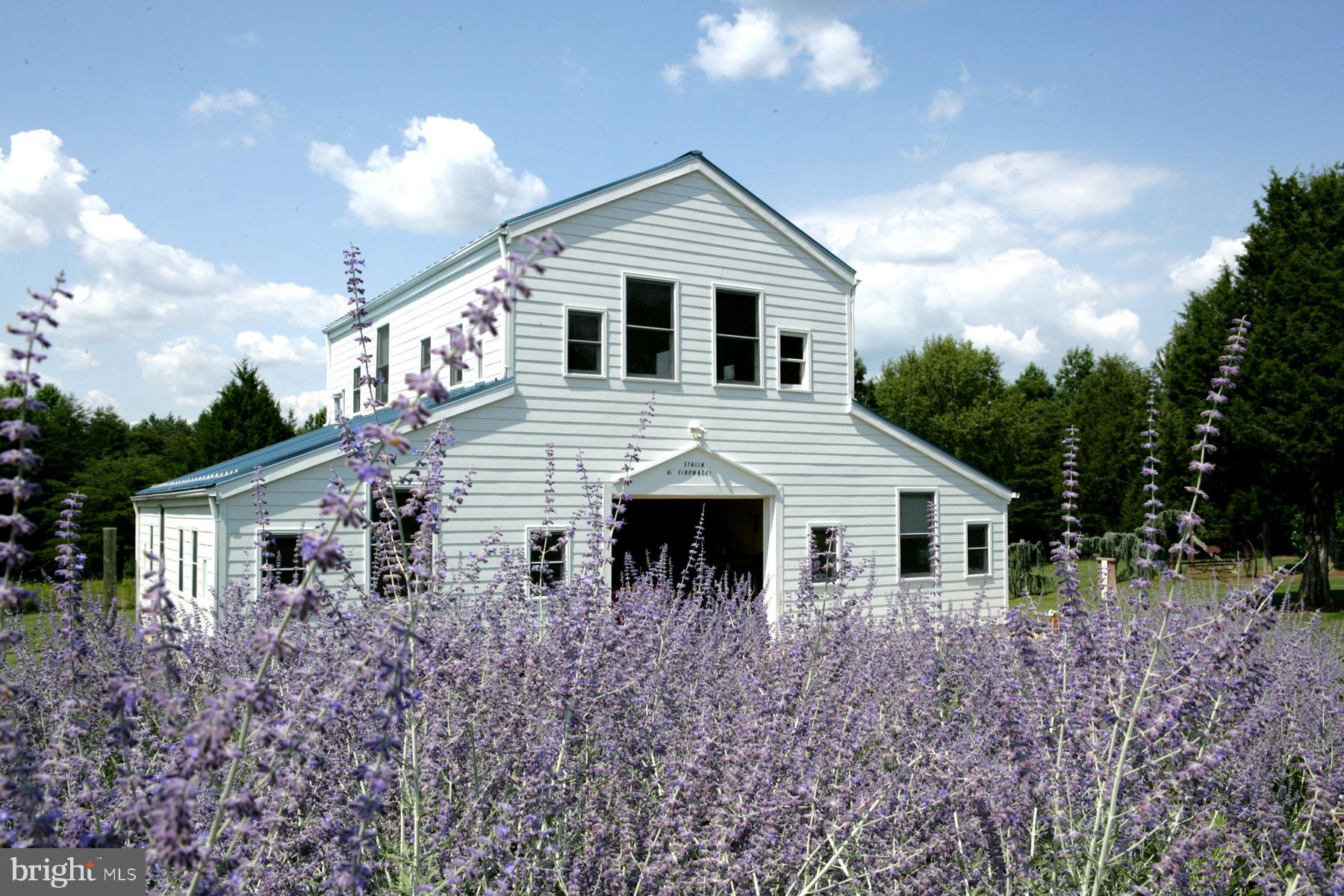 Real estate listing preview #12