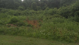 0 Lewis Estates Lane - Lot 2, Spotsylvania, VA 22551