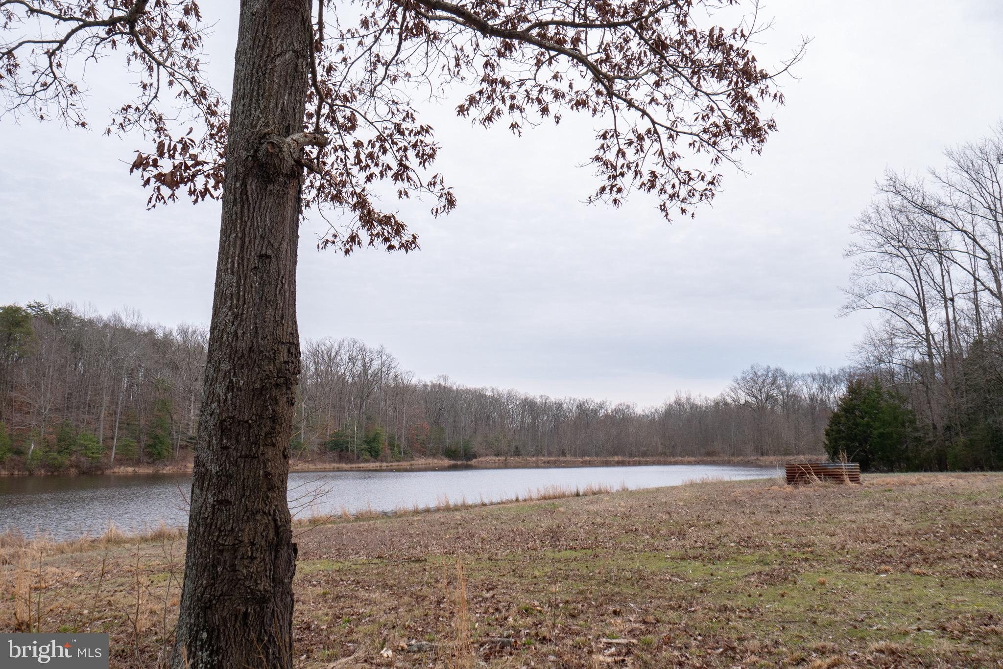 Real estate listing preview #12