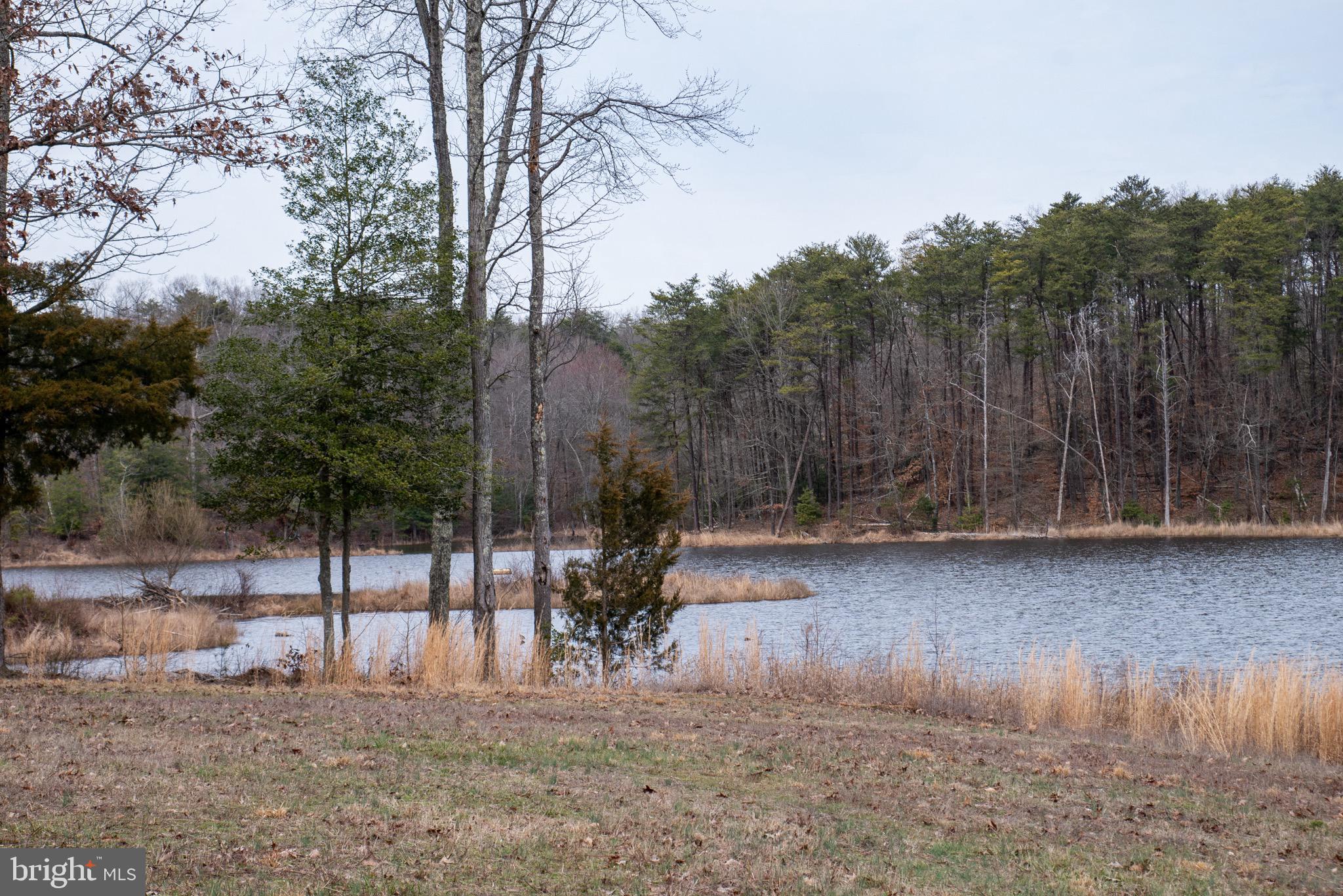 Real estate listing preview #2