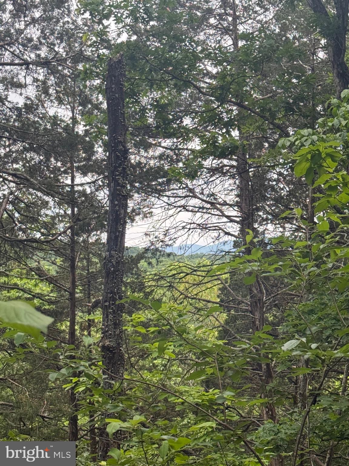 Real estate listing preview #35