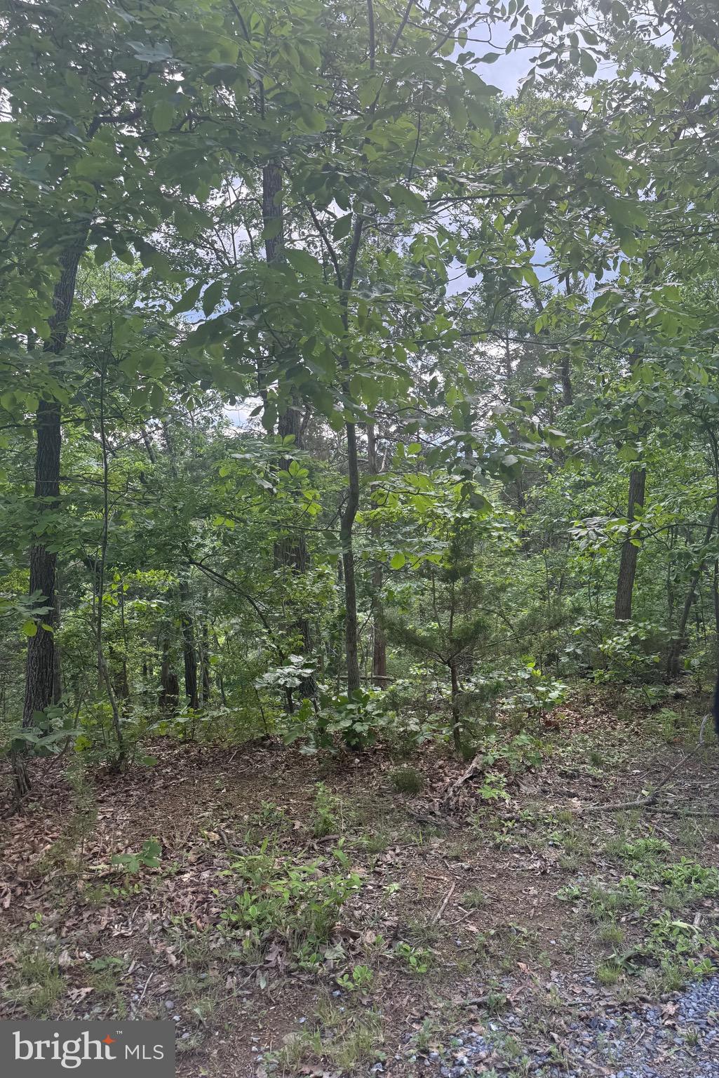 Real estate listing preview #26