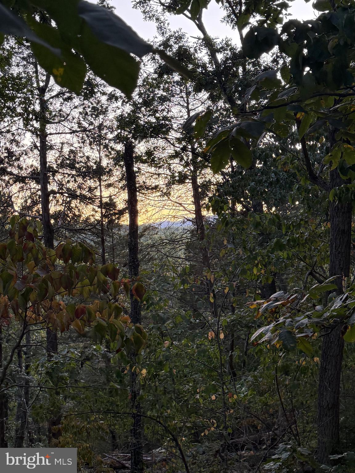 Real estate listing preview #36