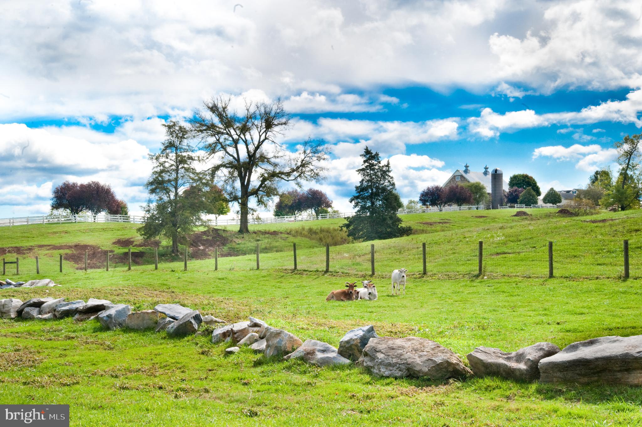 Real estate listing preview #81