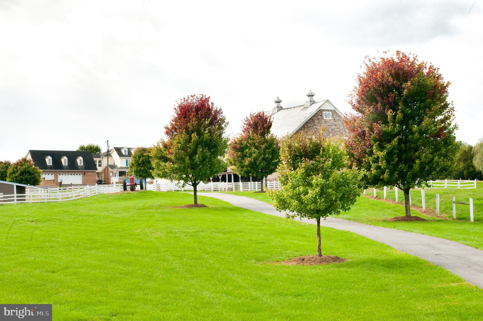 Real estate listing preview #78