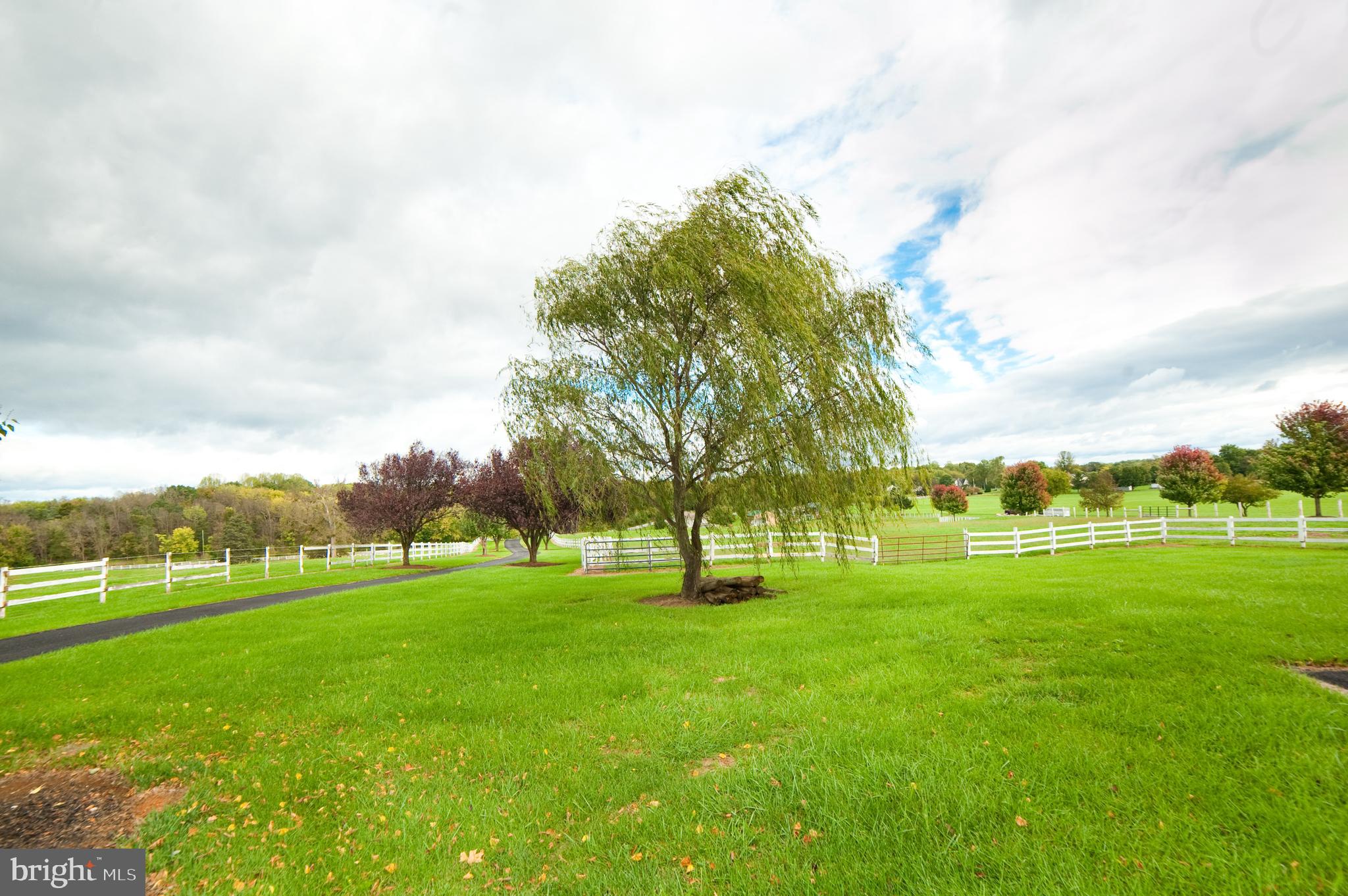 Real estate listing preview #58