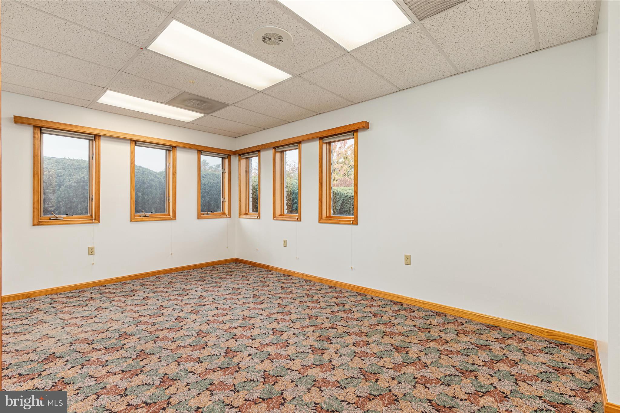 Real estate listing preview #25