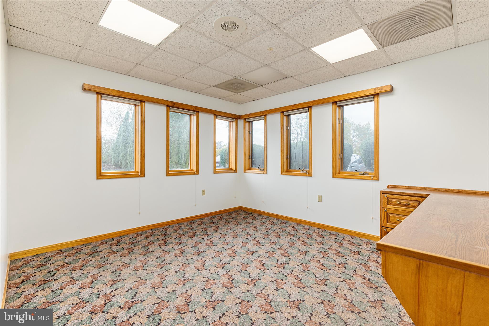 Real estate listing preview #24